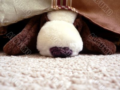 stuffed animal under bed