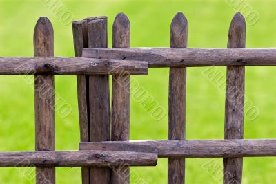 wooden fence and green grass