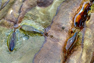 beach rock closeup