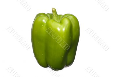 green pepper