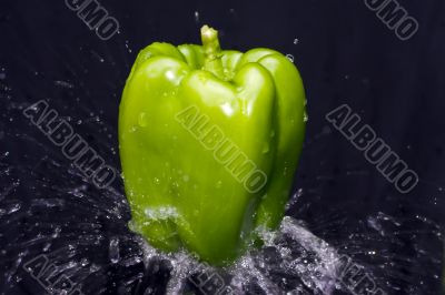 pepper with water splash