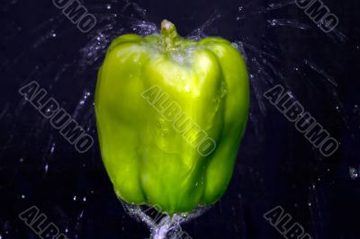 hdr pepper with water splash