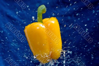 yellow pepper on White