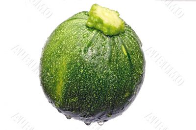 round zuchinni courgette