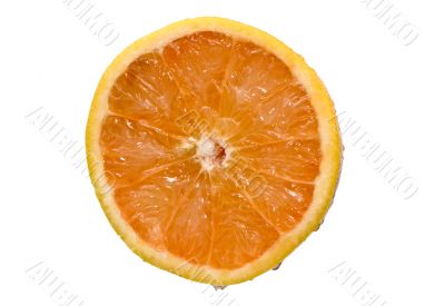 cuted grapefruit