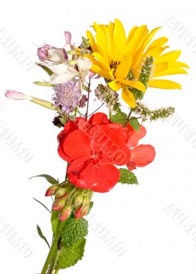 little bouquet