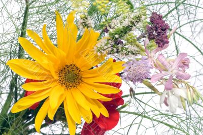 wild bouquet