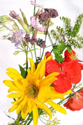 mixed flowers