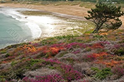 Cap Frehel 3