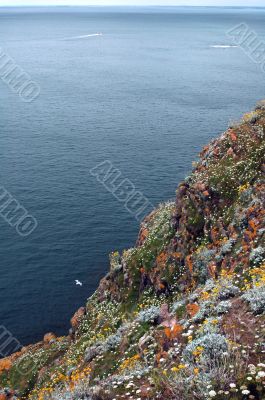 Cap Frehel 4