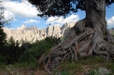 Passo Giau