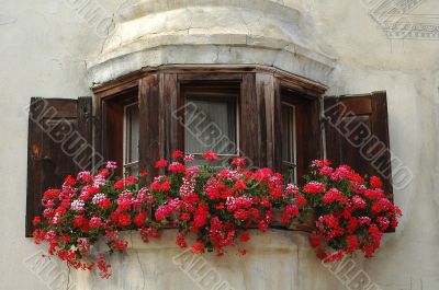Guarda