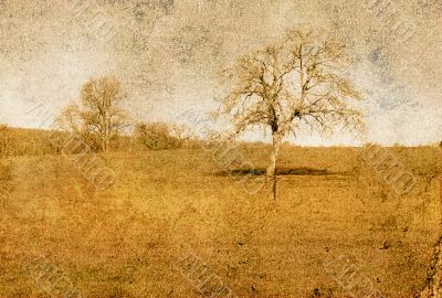 old-fashioned landscape
