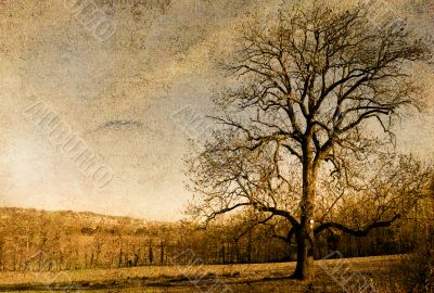 old-fashioned landscape