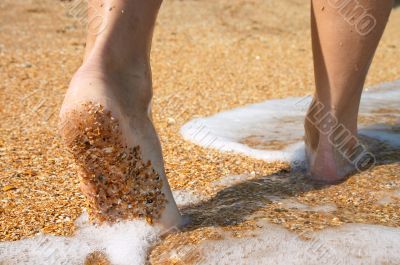 barefoot in surf on sand coast