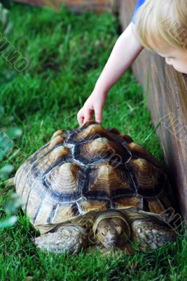 Child and Turtle
