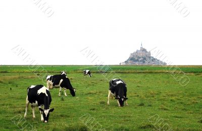 Le Mont Saint Michel 3