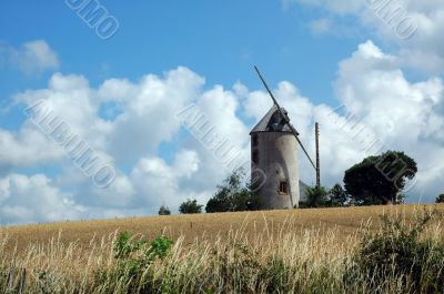 Mulino