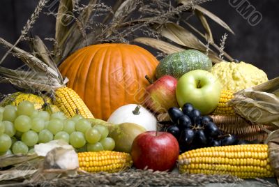 Autumn Fruit 4