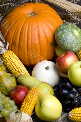 Autumn Fruit 3
