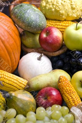 Autumn Fruit 2