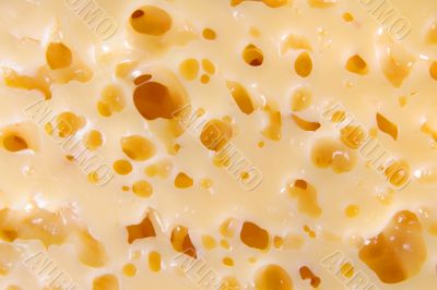 Cheese