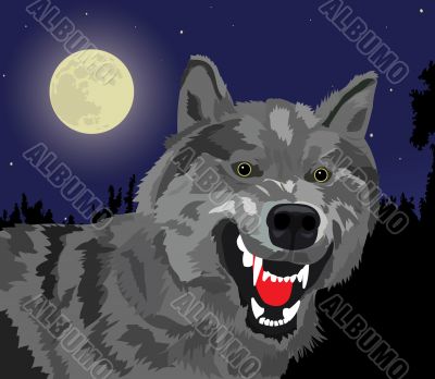 Night wolf