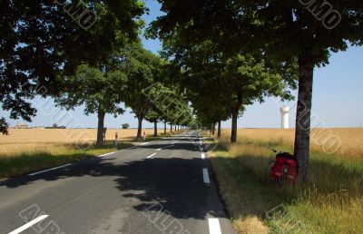 Sulla strada