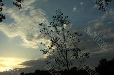 Cielo 2