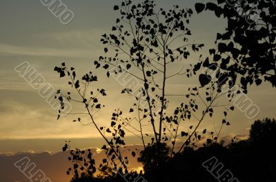 Cielo 3