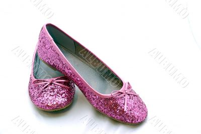Dorothy`s shoes
