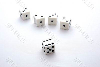 Dice 3