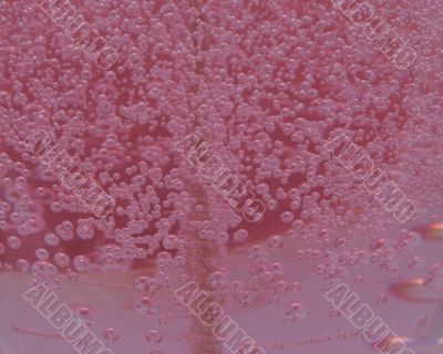 bubbles