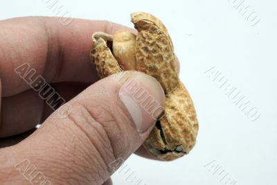 cracking peanuts