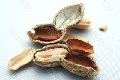 cracking peanuts