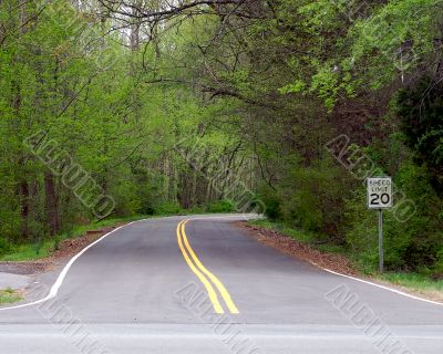 Road to forest