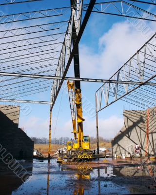 Crane