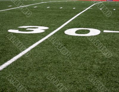 30 yard line
