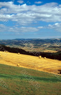 Albi-Millau 3