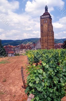 Arbois 3
