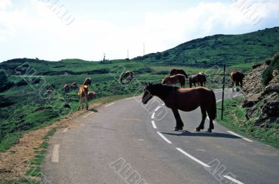Aubisque 2