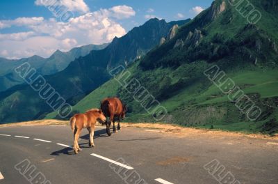 Aubisque 3