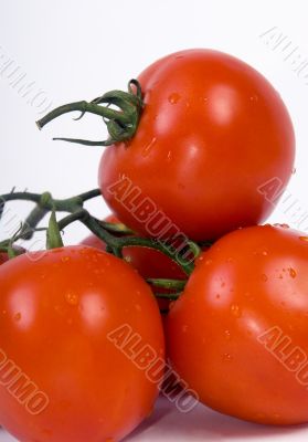 Red Tomatoes 2