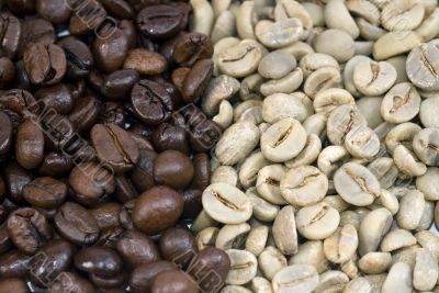 Coffee beans Green and Roasted