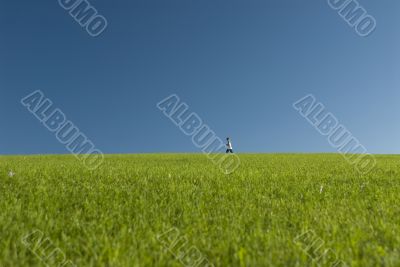 Across the meadow 2