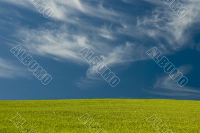 Wispy Clouds over the meadow