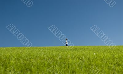 Across the meadow