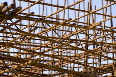 Rusted Rebar