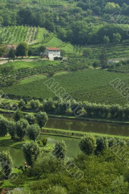 Italian fishing pond...in wine country
