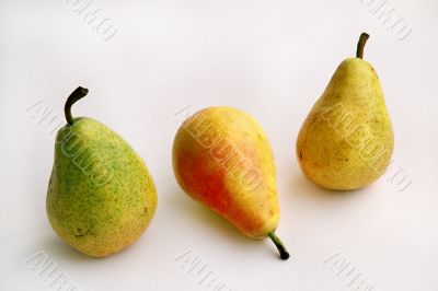 pears